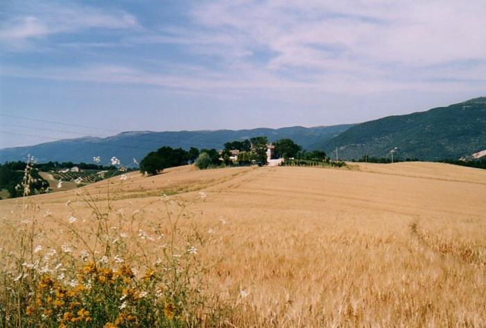 Casale Santomanno Villa Acquasparta Exterior photo